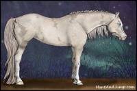 Horse Color:White Spotted Chocolate Palomino Ice Pearl