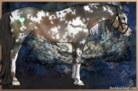 Horse Color:White Spotted Liver Chestnut Sabino