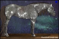 Horse Color:White Spotted Liver Chestnut Ice