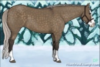 Horse Color:Silver Brown Dun Sabino Splash 
