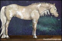 Horse Color:White Spotted Liver Chestnut Ice Pearl Sabino