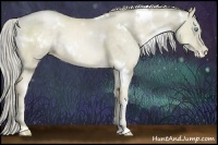 Horse Color:White Spotted Chocolate Palomino Pearl Dun