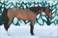 Horse Color:Bay Roan Varnish 