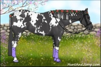 Horse Color:White Spotted Smoky Black