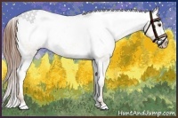 Horse Color:Red Dun Varnish 