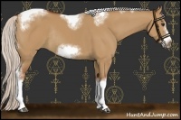 Horse Color:Silver Bay Dun Sabino Tobiano Frame Rabicano 