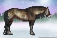 Horse Color:Brown Ice Onyx Rabicano