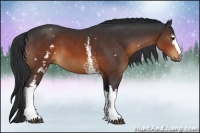 Horse Color:White Spotted Brown 