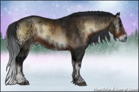 Horse Color:Brown Ice Onyx Sabino Rabicano