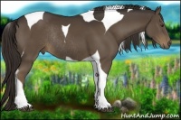 Horse Color:Liver Chestnut Tobiano Rabicano 