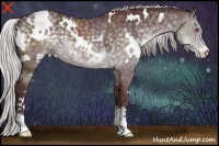 Horse Color:White Spotted Chocolate Silver Black Chinchilla Sabino 