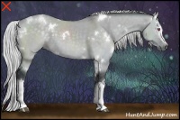 Horse Color:White Spotted Silver Grullo Chinchilla 