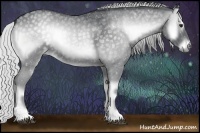 Horse Color:Silver Blue Onyx Chinchilla Roan Rabicano 