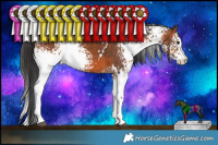 Horse Color:White Spotted Brown 