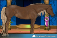 Horse Color:Chocolate Palomino 