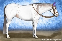 Horse Color:White Spotted Bay Roan Blanket 