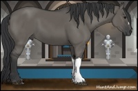 Horse Color:Grullo 