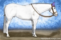 Horse Color:Grullo Sabino Splash 