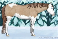Horse Color:Red Dun Roan Splash Varnish 