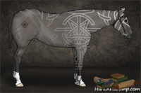 Horse Color:Grullo