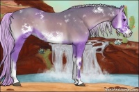 Horse Color:Watercolor White Spotted Silver Blue Onyx Sabino Frame 