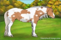 Horse Color:Silver Bay Tobiano Frame 
