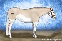 Horse Color:Silver Buckskin Pearl Splash