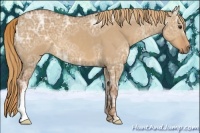 Horse Color:Red Dun Ice 