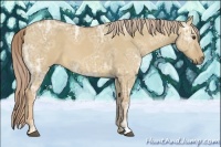 Horse Color:Palomino Ice Dun 