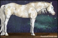 Horse Color:White Spotted Liver Red Dun Ice Pearl Sabino Splash 
