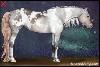 Horse Color:White Spotted Liver Chestnut Ice Rabicano 