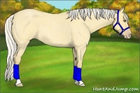 Horse Color:Silver Amber Cream Champagne Roan Dun 
