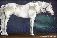 Horse Color:White Spotted Chocolate Palomino Ice Splash Rabicano 