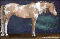 Horse Color:White Spotted Liver Chestnut Pearl 