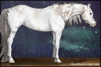 Horse Color:White Spotted Liver Red Dun Rabicano 