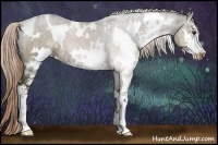 Horse Color:White Spotted Liver Chestnut Sabino 