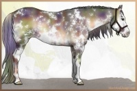 Horse Color:Nacre Liver Red Onyx Sabino 