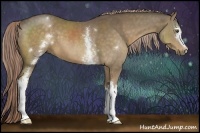Horse Color:White Spotted Chocolate Palomino