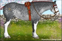 Horse Color:Silver Black Chinchilla Sabino