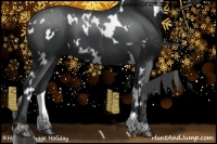 Horse Color:White Spotted Black