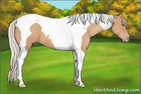 Horse Color:Silver Sable Champagne Tobiano