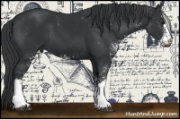 Horse Color:Black Sabino 
