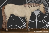 Horse Color:Liver Red Dun Roan Rabicano 