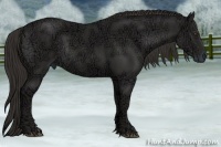 Horse Color:Liver Chestnut Ice Rabicano