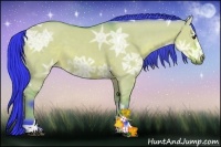 Horse Color:Watercolor Bay Ice Dun Sabino 