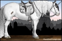 Horse Color:Grullo Splash Tobiano 