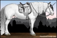 Horse Color:Grullo Splash Tobiano 