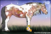 Horse Color:Nacre Brown Ice Tobiano Frame Rabicano
