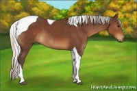Horse Color:Silver Brown Tobiano 