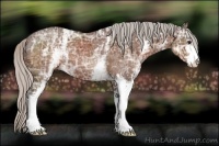 Horse Color:White Spotted Silver Brown Ice Sabino 
